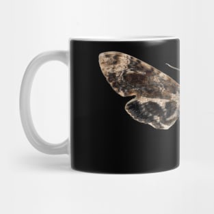 Death Head Moth | Skull Moth | Death Moth | Hawk Moth Mug